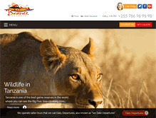 Tablet Screenshot of bushbuckltd.com